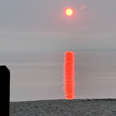 JustAMIMom's profile picture. Just a Michigan Mom that wants some resemblance of America back. Party of common sense.