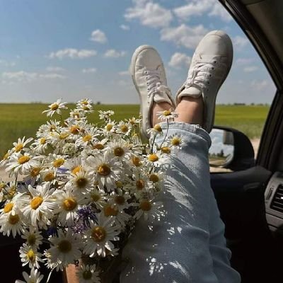 mihi003's profile picture. 