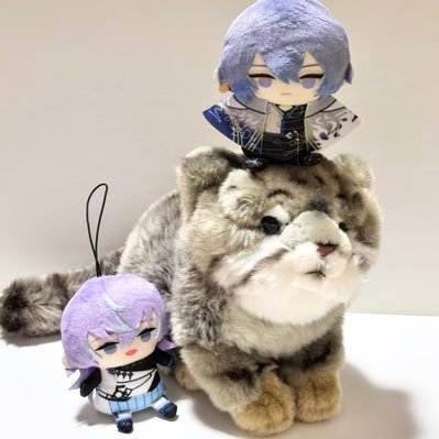 ドンドコ赤紫ばばあさんのプロフィール画像