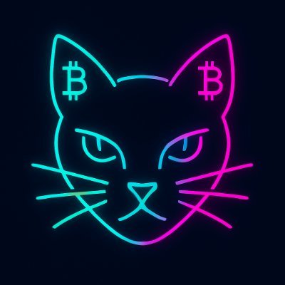 WinodinXP's profile picture. 🔥A new #BitcoinRap banger coming ! 

🎶Cato ~ Silent at All Time High 🎤