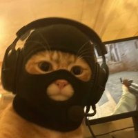 catwifmask (@thecatwifmask) 's Twitter Profile
