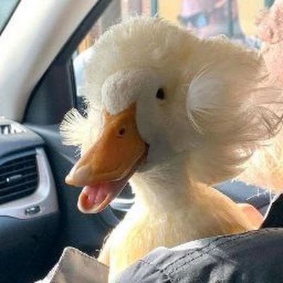 jkki987's profile picture. 
