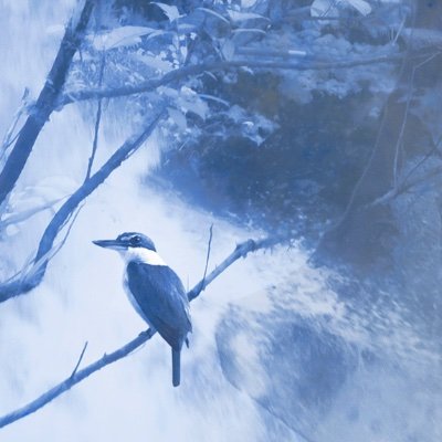 DanieMellor's profile picture. 