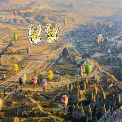 darragh_buckley's profile picture. Sahara #0022338