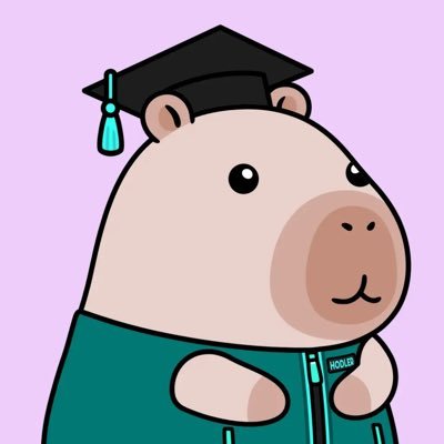 Vibing web3 and sharing my journey along the way | Investing @yaynetwork | Turtle @turtledotxyz 🐢