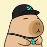 TimHaldorsson's profile picture. Founder of @lunarstrategy, validator @Lunar3capital and @yapstrategy - infofi product studio