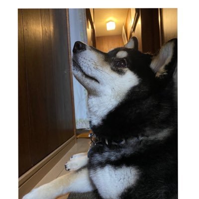 sptn__noah's profile picture. 関西人20↑ 今はぶいすぽメインで見てます。箱推し。 LTKきっかけで LOLが好きになりました。ただし見る専.....