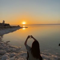 Naseem Shawabkeh (@naseemn48774) Twitter profile photo