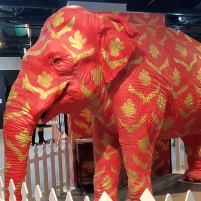 vivid157's profile picture. 