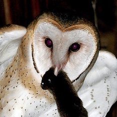 zii4tae's profile picture. 