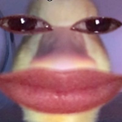 uttoyy's profile picture. 