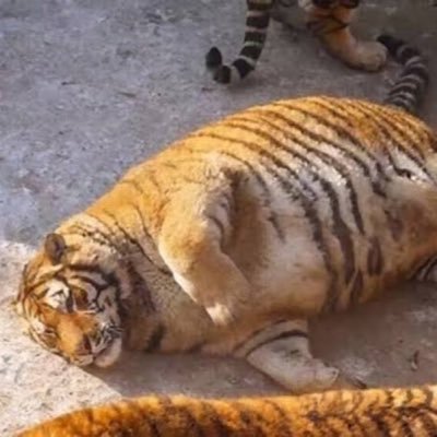 LH5fAnchsp66105's profile picture. のんびりと　歴史、芸術、美術散策