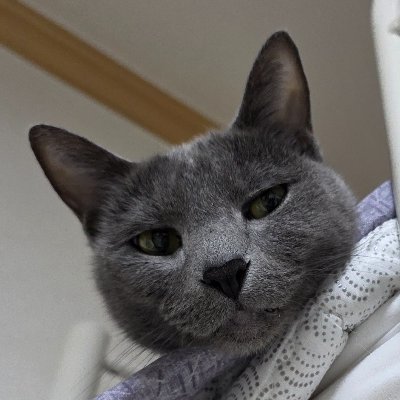 quitequiet6's profile picture. why live life from dream to dream?