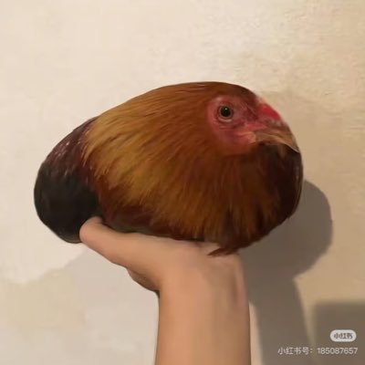 ddでさんのプロフィール画像