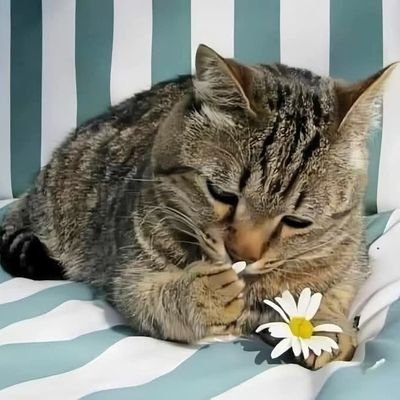 zenn2232025's profile picture.