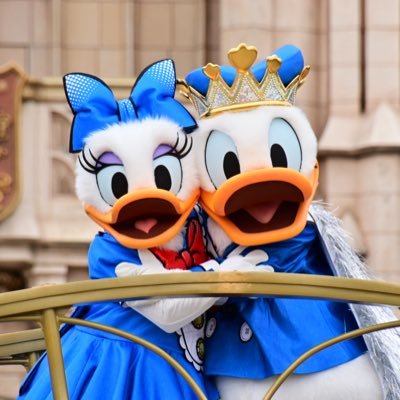 劇団四季、Disney、STARWARS、プロ野球(犬鷲)中心に様々/TDR年パス8年間/‘24 USJ年パデビュー/たまに仮装/冬はだいたい雪山🏂🎿/お酒は一般の女子よりは飲みます/FCは⛄️、💎、🐯、🅰️入ってます