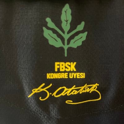 ali_tekin_'s profile picture. #Ataturk #geziparki 💛💙 Fenerbahçe kongre üyesi… 🇹🇷🇺🇸 ”💛💙. Osmanlı benim ceddim değil, ben TÜRK’ÜM…