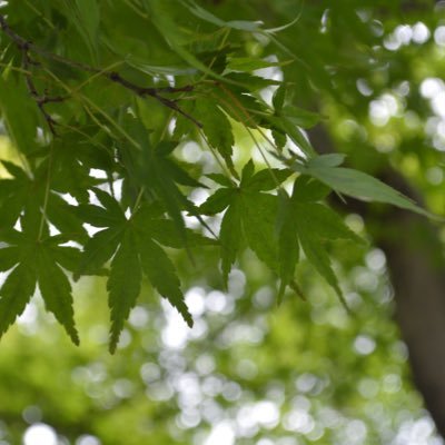 mkt423354241544's profile picture. 文房具❤️