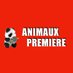 Animaux Première (@animaux1ere) Twitter profile photo Animaux Première (@animaux1ere) Twitter profile photo