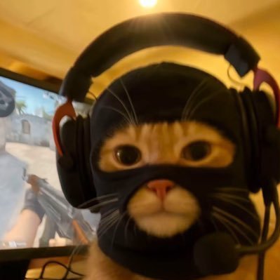 LilbroLilbrosol's profile picture. $MASK MAXI