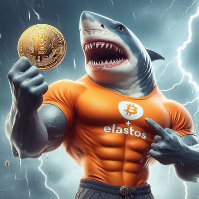 Native #BTC DeFi is real with #BeL2 from #Elastos - also #web3 giant.
CoinCreate is the AIO solution for no code deployments.
$TRIAS
$MLT
$ELA
$CREA