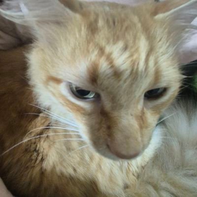 diasdearte_'s profile picture. eu tentava fugir de mim, mas pra onde eu ia eu tava | 📍SC