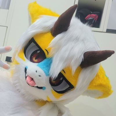 @Limo_fur