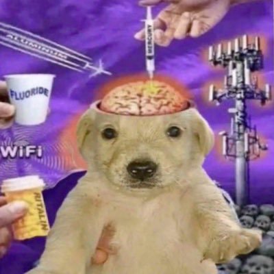 Jalzen7's profile picture. what are you doing here | 21 |🔞