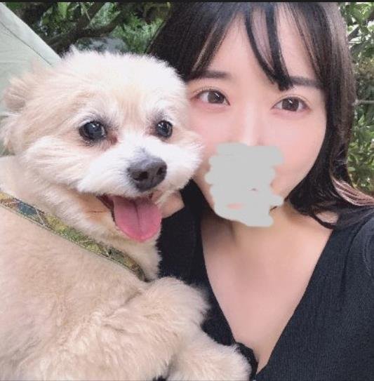 P4ZBqE33GOMCS's profile picture. LINEでチャットできますか？