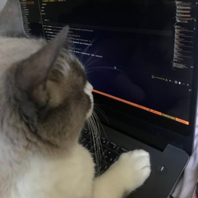 - Full-Stack dev 🧑💻
- Não uso WordPress nem pra blog
- Não sou bilíngue, mas meu sonho tem legenda