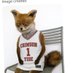 Joyless Fox (@joylessfox) Twitter profile photo Joyless Fox (@joylessfox) Twitter profile photo