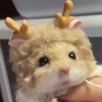 서야 (@seoyamii) 's Twitter Profile Photo