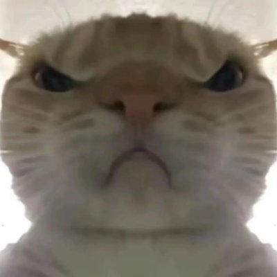 shuai_da45893's profile picture. dashiai