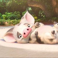 Toffie (@toffie7_) 's Twitter Profile