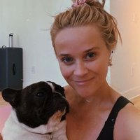 Reese Witherspoon (@reesewithe23578) 's Twitter Profile