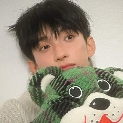 fan account. for #ėź²ø ⨠seventeen ā 97z enthusiast ā”