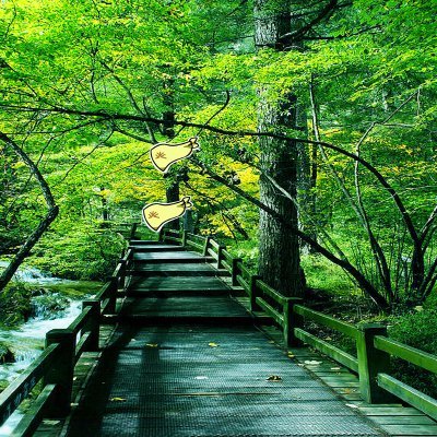 matoshya78416's profile picture. Sahara #0044293