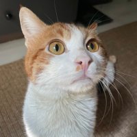 Kiki (@kikithehotwheel) 's Twitter Profile Photo Kiki (@kikithehotwheel) 's Twitter Profile Photo
