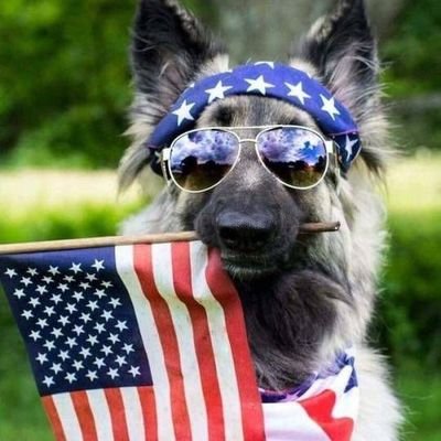 united we Stand
American Great Again 💪❤️🇱🇷