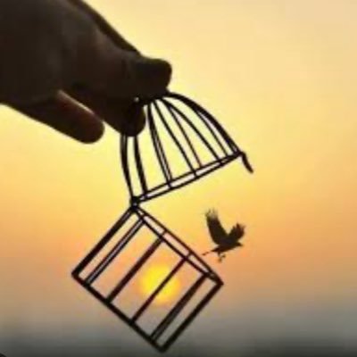 umran_2014's profile picture. 