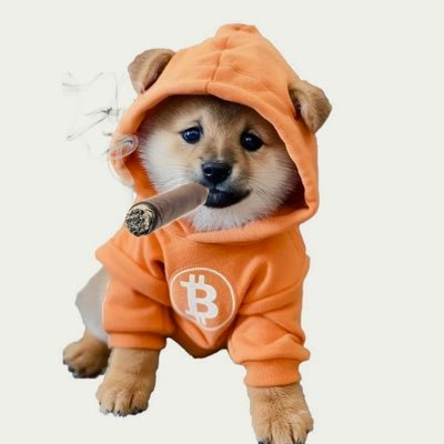 DogArmy_Italy's profile picture. Italian account to support $DOG ARMY, let’s take our army to the Moon