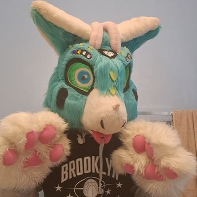 Nelly (Dutch Angel Dragon) ❤️Bi/32/Fursuiter/MFF/Denfur/Megaplex/Kind/Loving/Caring/Approachable/DM Friendly/RP friendly/Single❤️