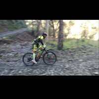 David Morales Diaz (@davidmoral80246) 's Twitter Profile
