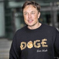 DOGE4XON (@dogexcircle) 's Twitter Profile
