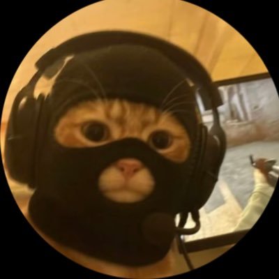 cwentz248213479's profile picture. 