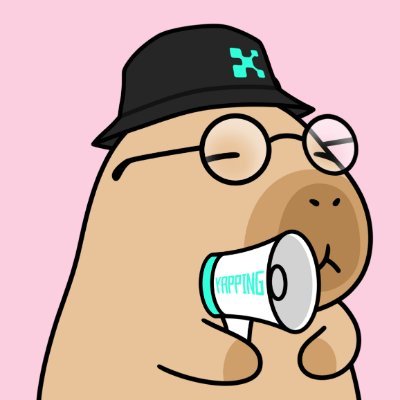 saitama_ape8's profile picture. @ionet ambassador | Yapybara holder (#1444) | @wassie believer | DMs get 1 punched