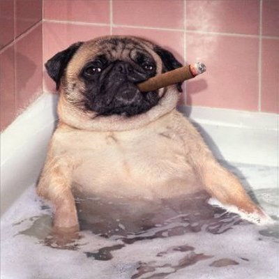 D3athSm0k328987's profile picture. 