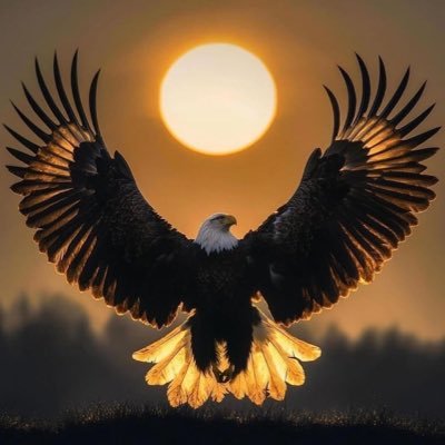 alioztrk1903's profile picture. 