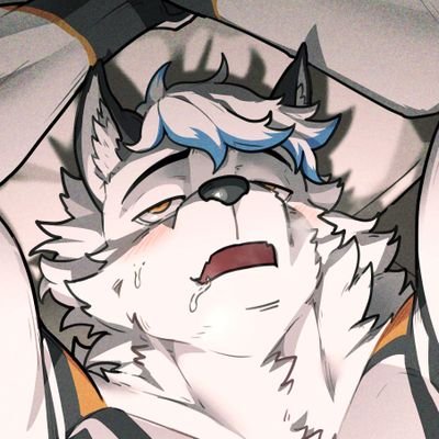 KnotFraye➡️Megaplex Profile