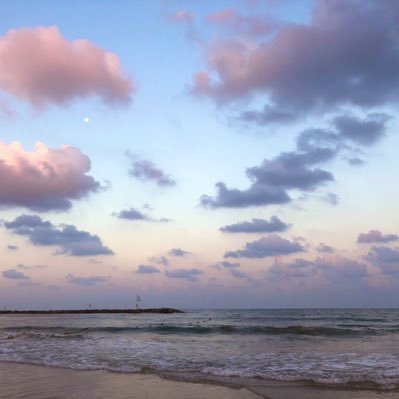 AnnNu469's profile picture. 旅行とゲームが好きなただの会社員。香港が好きです。